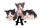 0001CACOV2K3.gif