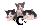 0003CA2OZB6I.gif