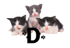 0004CA4QHFBJ.gif