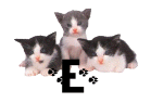 0005CAA6D5YQ.gif