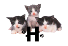 0008_6.gif