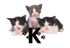 0011CA3AFQQ6.gif