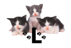 0012CAOEQCIQ.gif