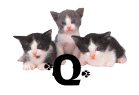 0017CA6MV8RG.gif