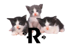 0018CA3VY2CA.gif
