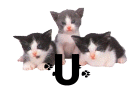 0021CAXVZR70.gif