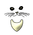 0022CACMJSOC.gif