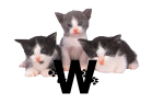 0023CAS3ISNC.gif