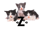 0026CAFDTYE5.gif