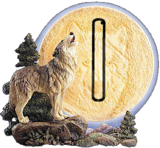 090909-loup-9.jpg