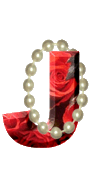 099A-Roses-et-Pearls-10.gif