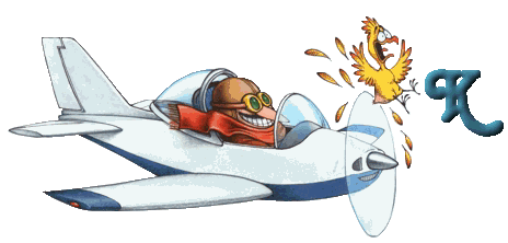 1-avion-11.gif
