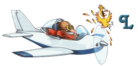 1-avion-12.gif