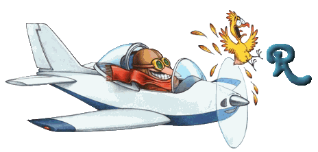 1-avion-18.gif