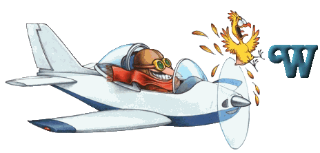 1-avion-23.gif