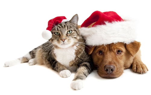 1-christmas-animals-1-1.png