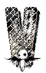 11A-WingedWireAlpha-MadeByfranqiui-22.gif