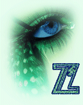 2222yeux7734220043-26.gif