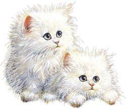 2FUZZYWHITEKITTIES-vi.jpg