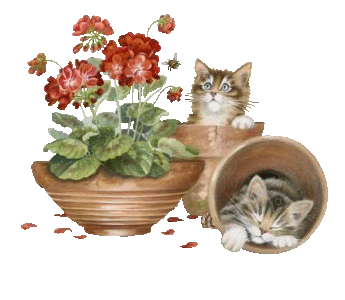 2KITTIESinPOTS_zps8e4c4349-vi.gif