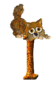 3232chat-9.gif