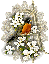 3355oiseaux-1.gif
