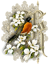 3355oiseaux-11.gif