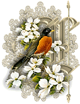 3355oiseaux-12.gif