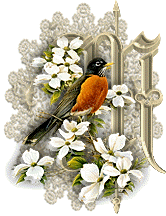 3355oiseaux-13.gif