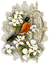3355oiseaux-15.gif