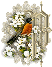 3355oiseaux-16.gif