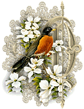 3355oiseaux-17.gif