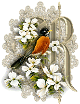 3355oiseaux-18.gif