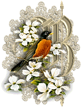 3355oiseaux-2.gif