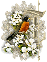 3355oiseaux-20.gif