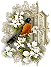 3355oiseaux-21.gif