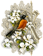 3355oiseaux-24.gif
