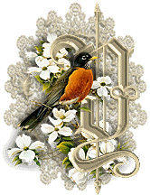 3355oiseaux-25.gif