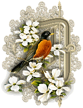 3355oiseaux-4.gif