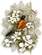 3355oiseaux-5.gif