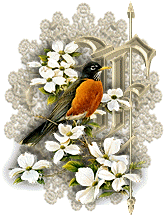 3355oiseaux-6.gif