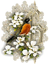 3355oiseaux-7.gif