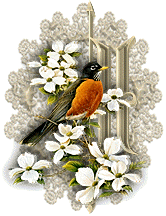 3355oiseaux-9.gif