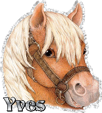 42073e06.gif