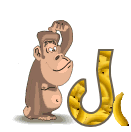 4334singe-10_1.gif
