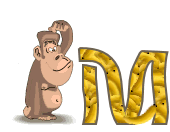 4334singe-13_1.gif
