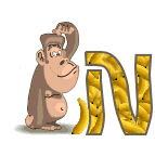 4334singe-14_1.gif