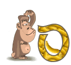 4334singe-15_1.gif