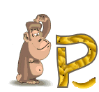 4334singe-16_1.gif