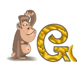4334singe-7_1.gif